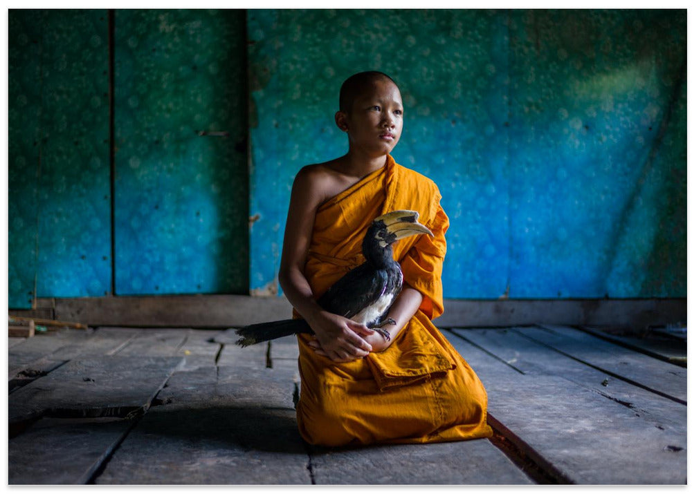 The Young Monk and his pet Hornbill