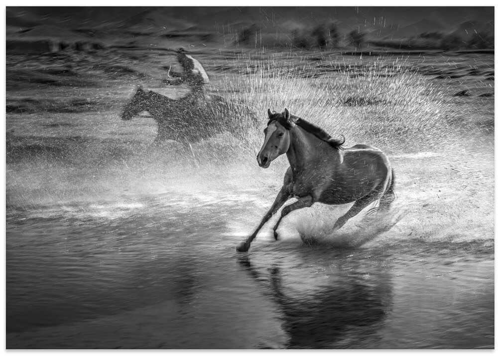 Running horses