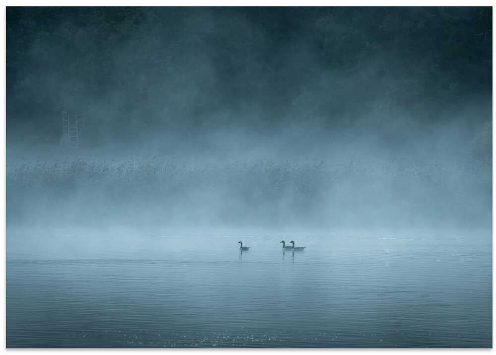 Dark and foggy lake