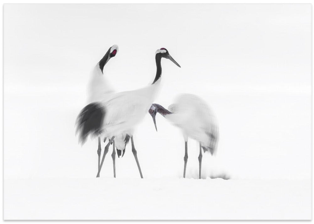 Art Prints of Family