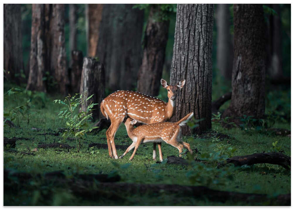 Sanctity of Motherhood