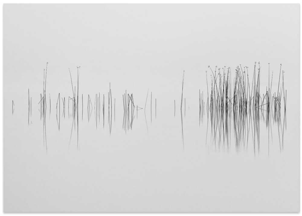 The graphic language of nature