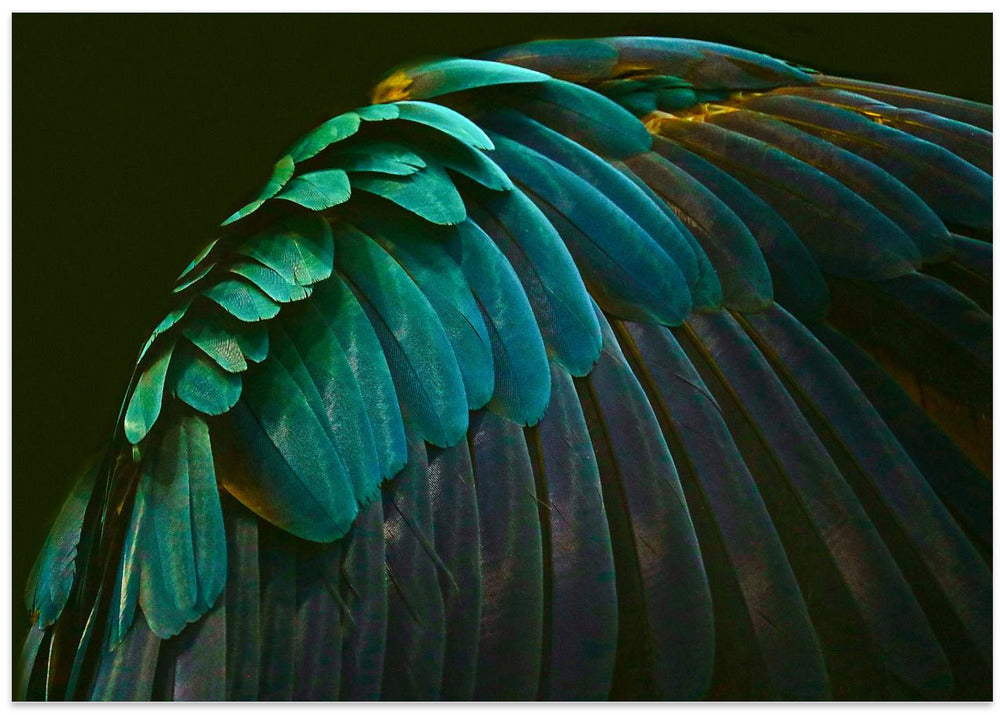 Art Prints of There's a bird in there somewhere