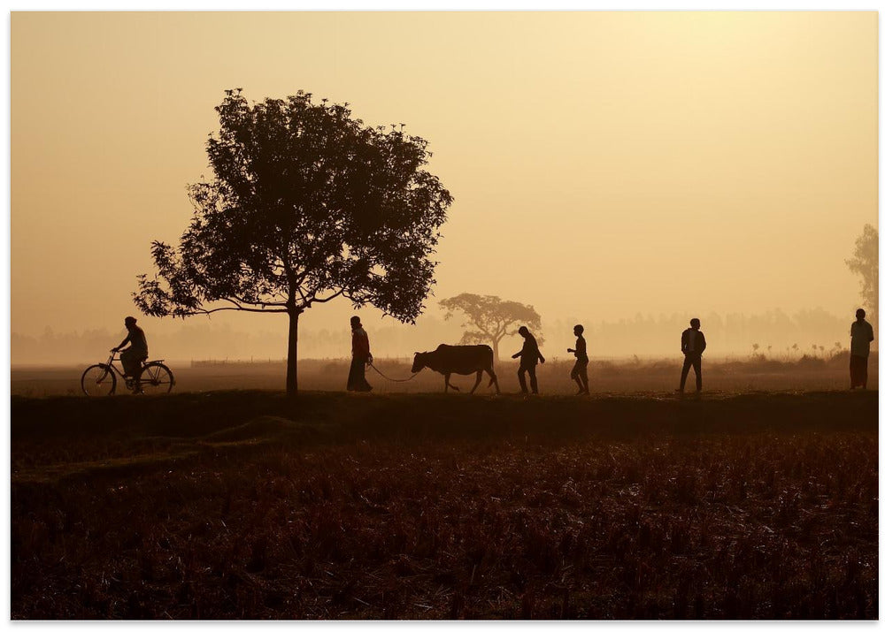 Beginning of the day