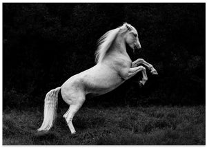 Art Prints of a short story of a blade of grass in a hoof