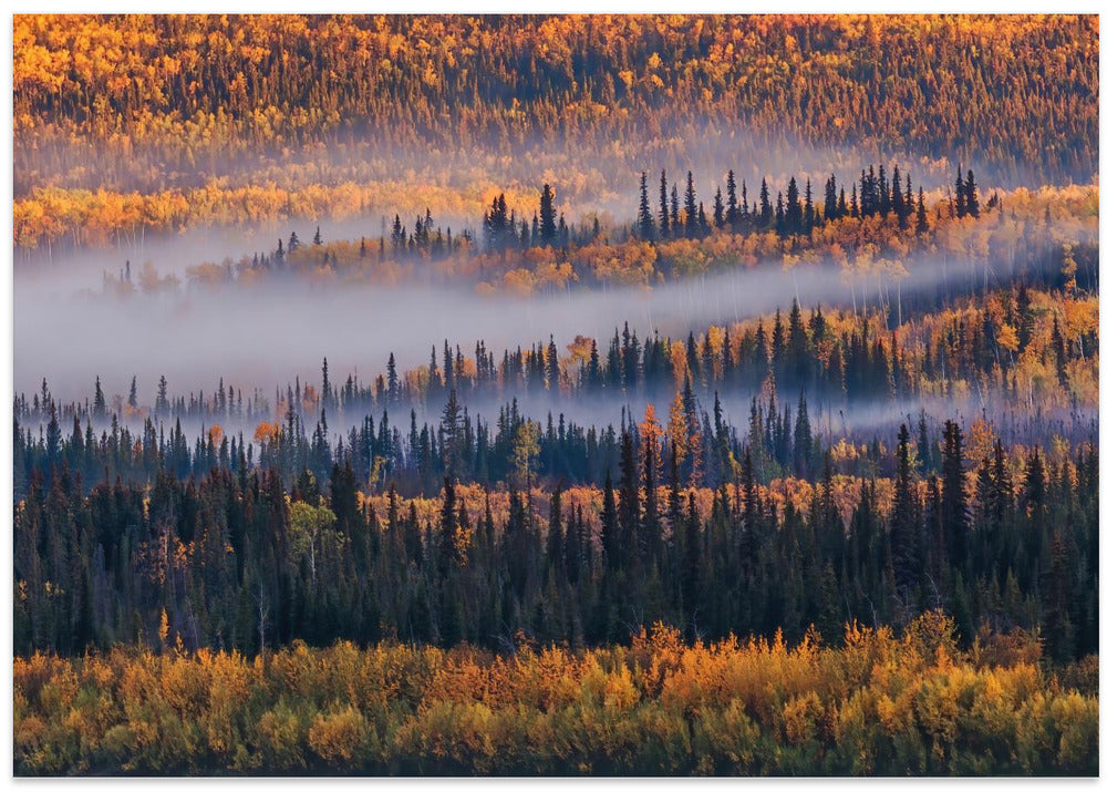Autumn in Alaska