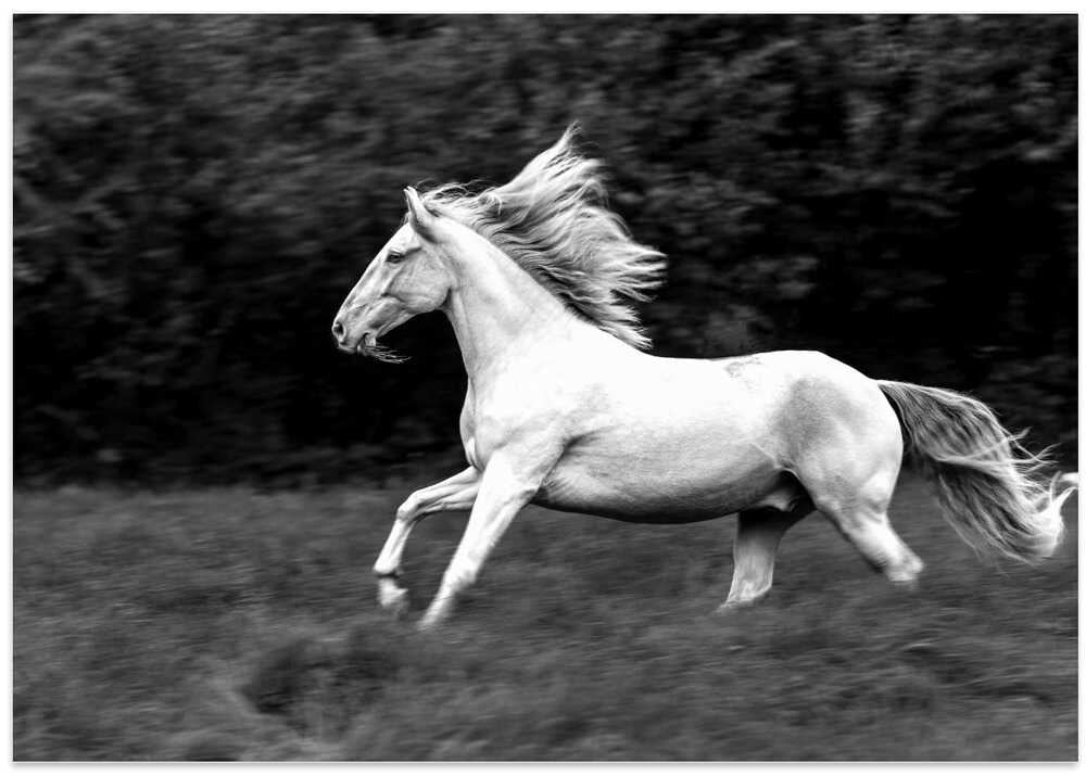 a short story about a tuft of grass in a horse's mouth