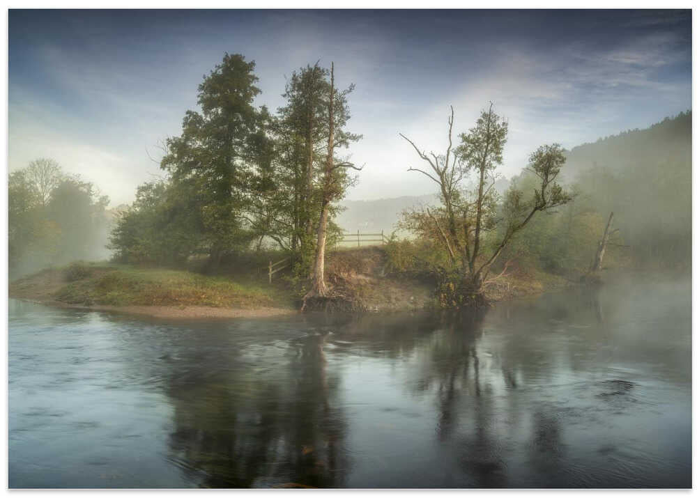 The wonderful morning