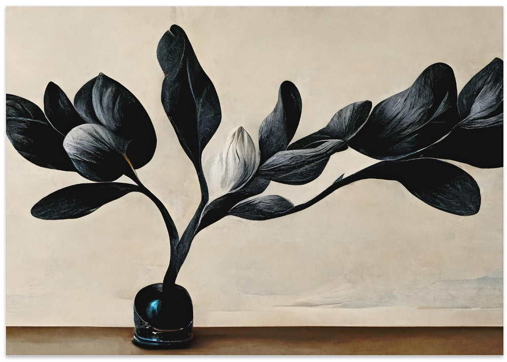 Black Magnolia