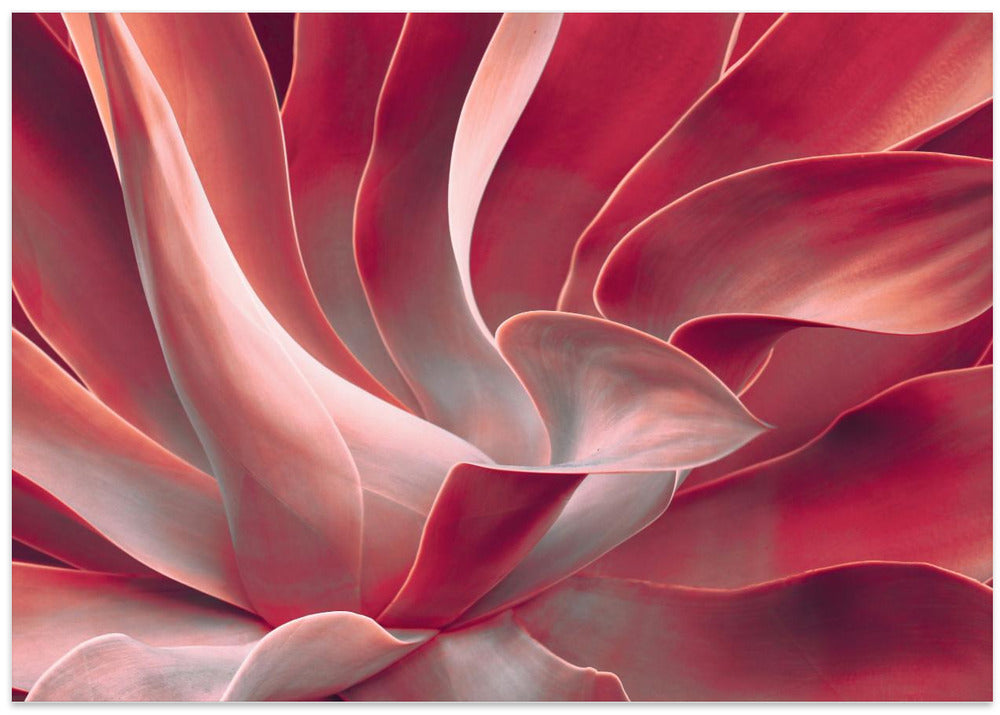 Leaves like satin ribbons