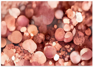 Art Prints of Rosy Sparkles