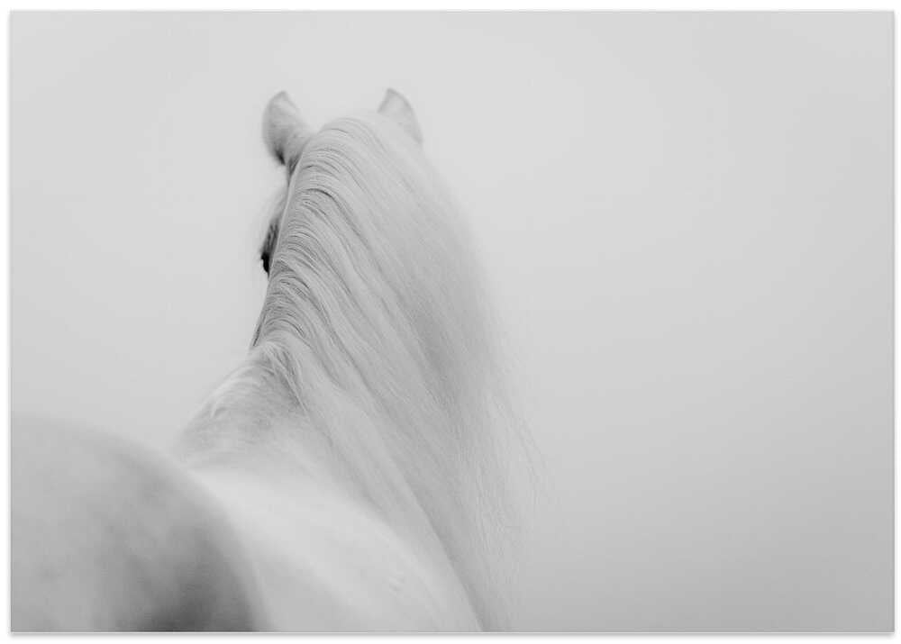 a short story about the long mane