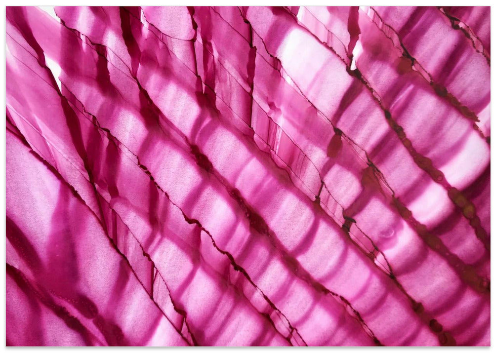 Raspberry Ripple horizontal