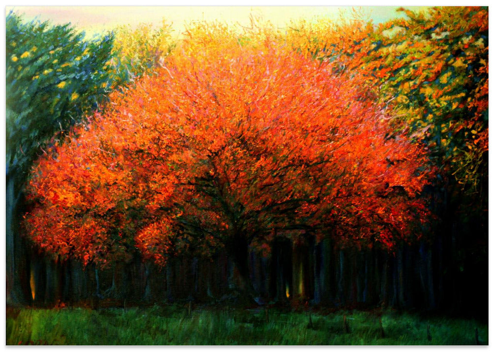 Autumn Tree at Laren (2013)