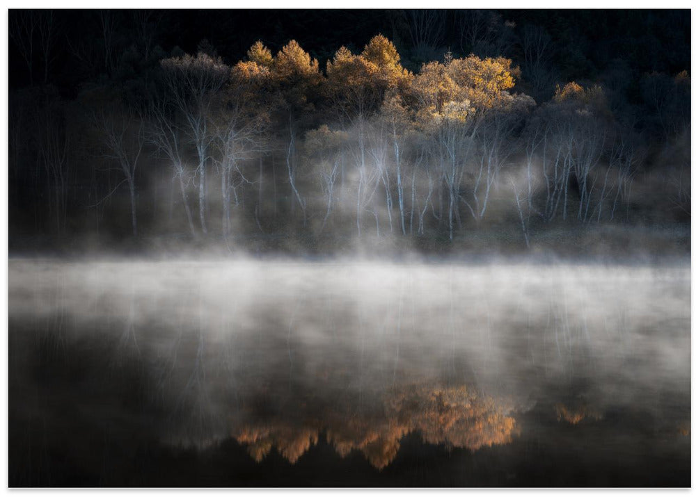晩秋の光に誘われて
