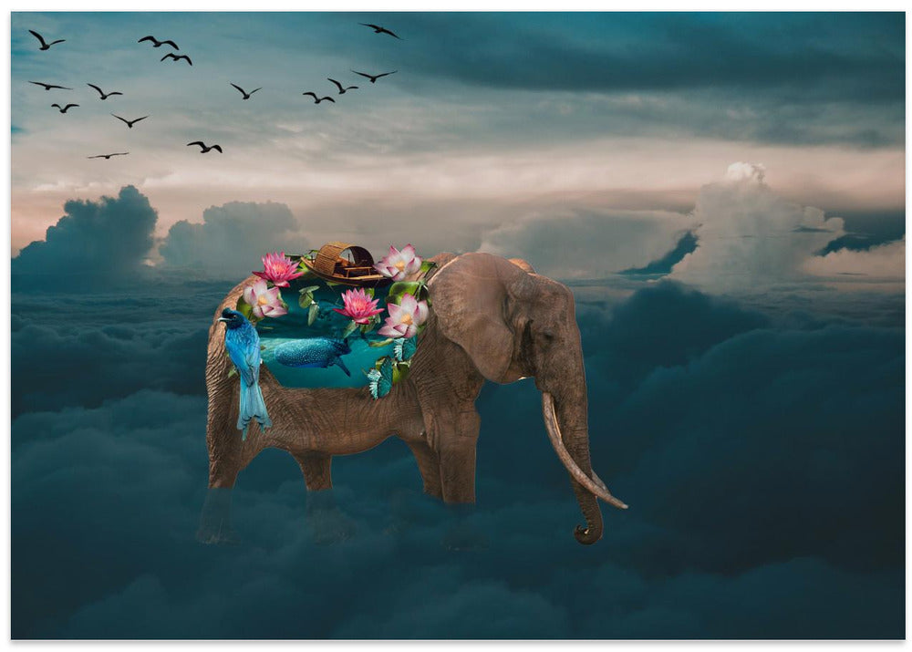 Art Prints of Sea elephant