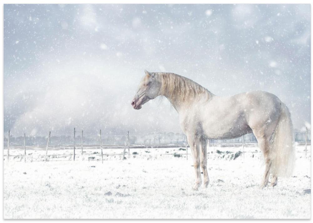 Canvas Art Print Let it snow...