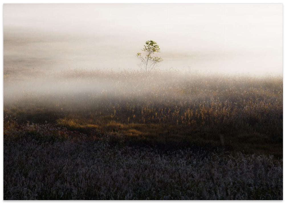 特別な時間/special time