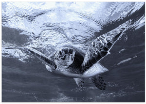 Canvas Art Print Chroma