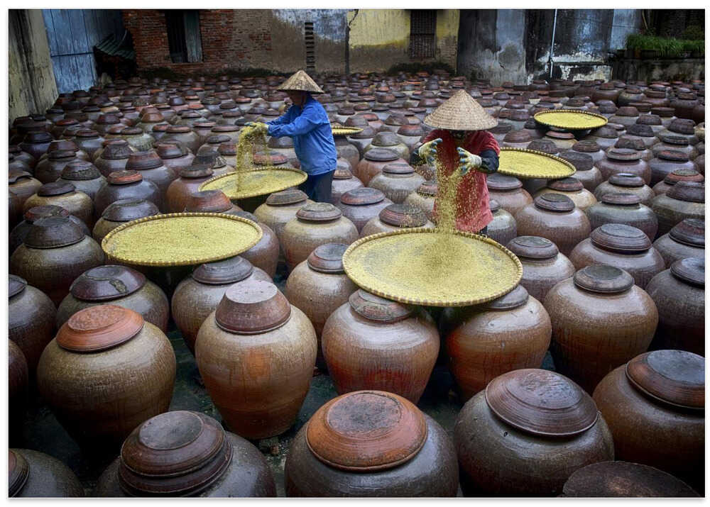 Making Soya Bean Paste 2