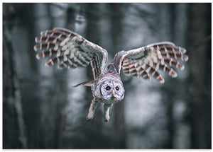 Canvas Art Print Attacking mood