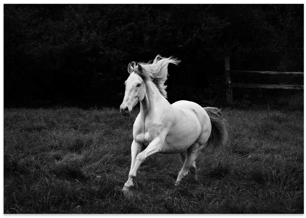 a short story about the hero of one of the calendar pages