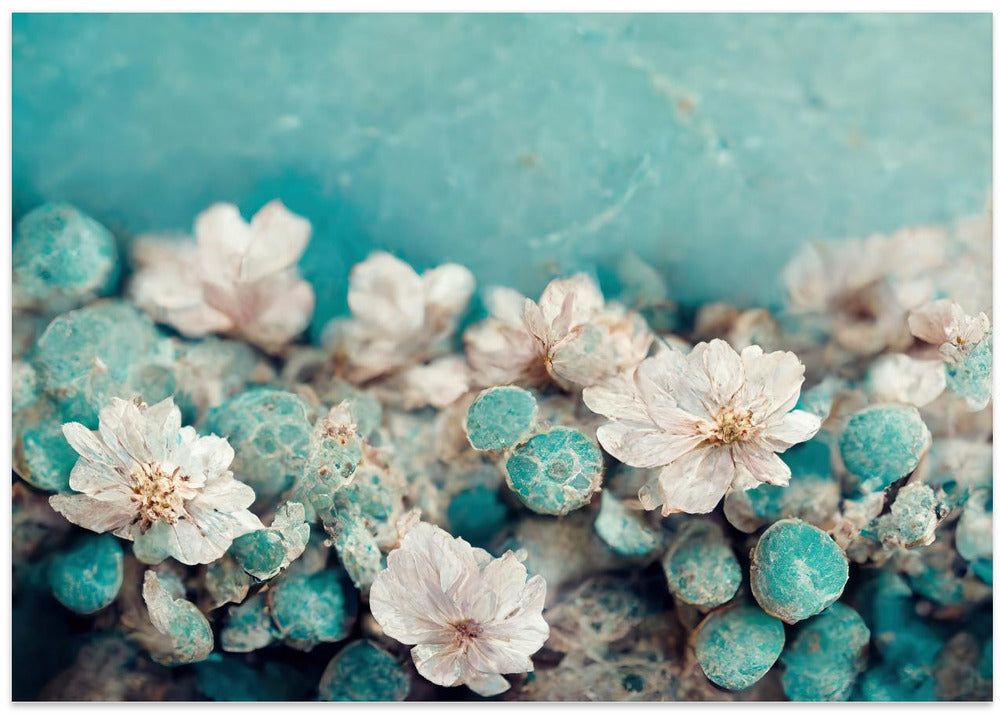 Aqua Blossom Dream