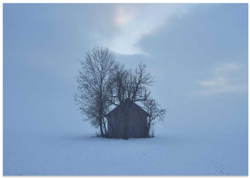 Lonely cottage