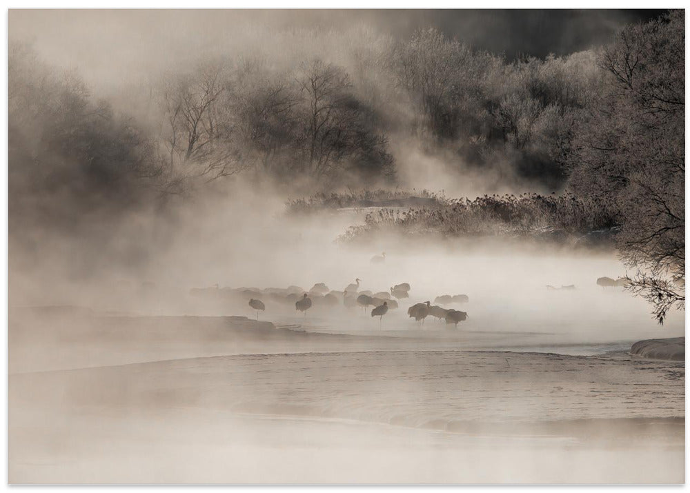 Otowa Bridge 音羽橋