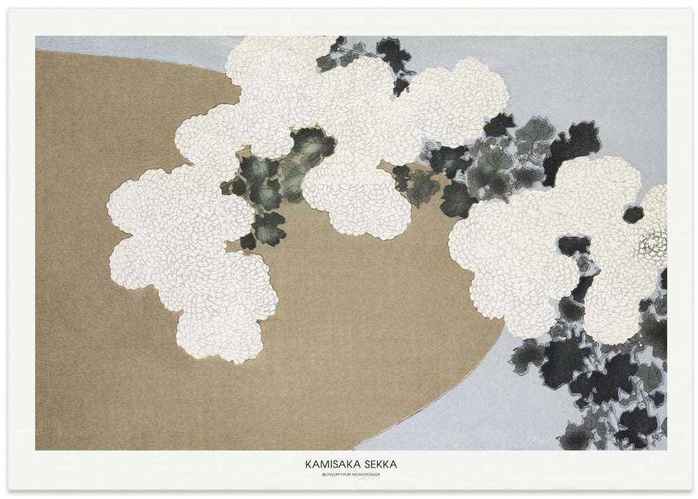 Blossom From Momoyogusa