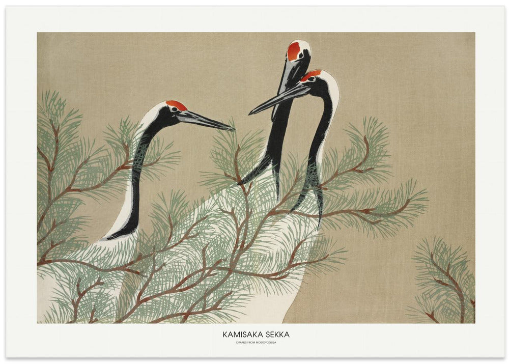 Cranes From Momoyogusa