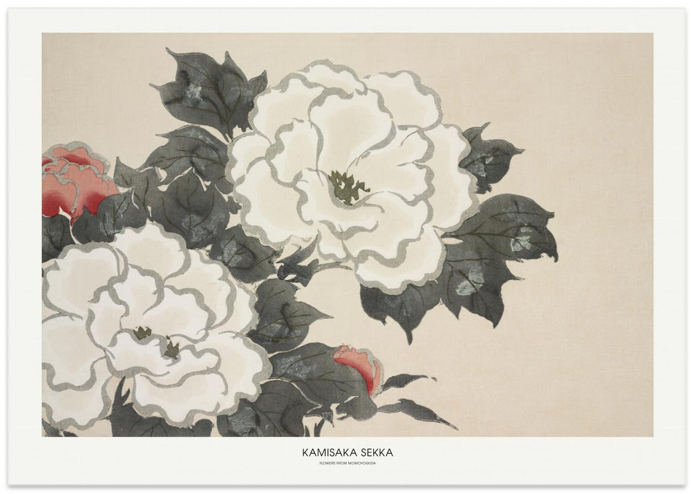 Flowers From Momoyogusa