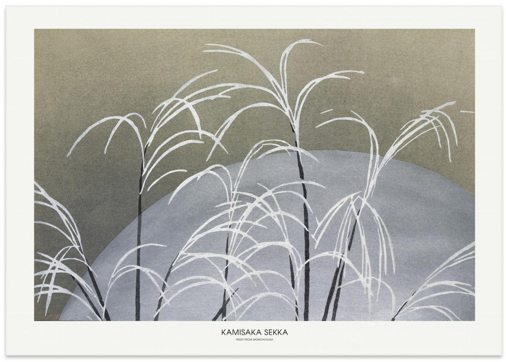 Frost From Momoyogusa