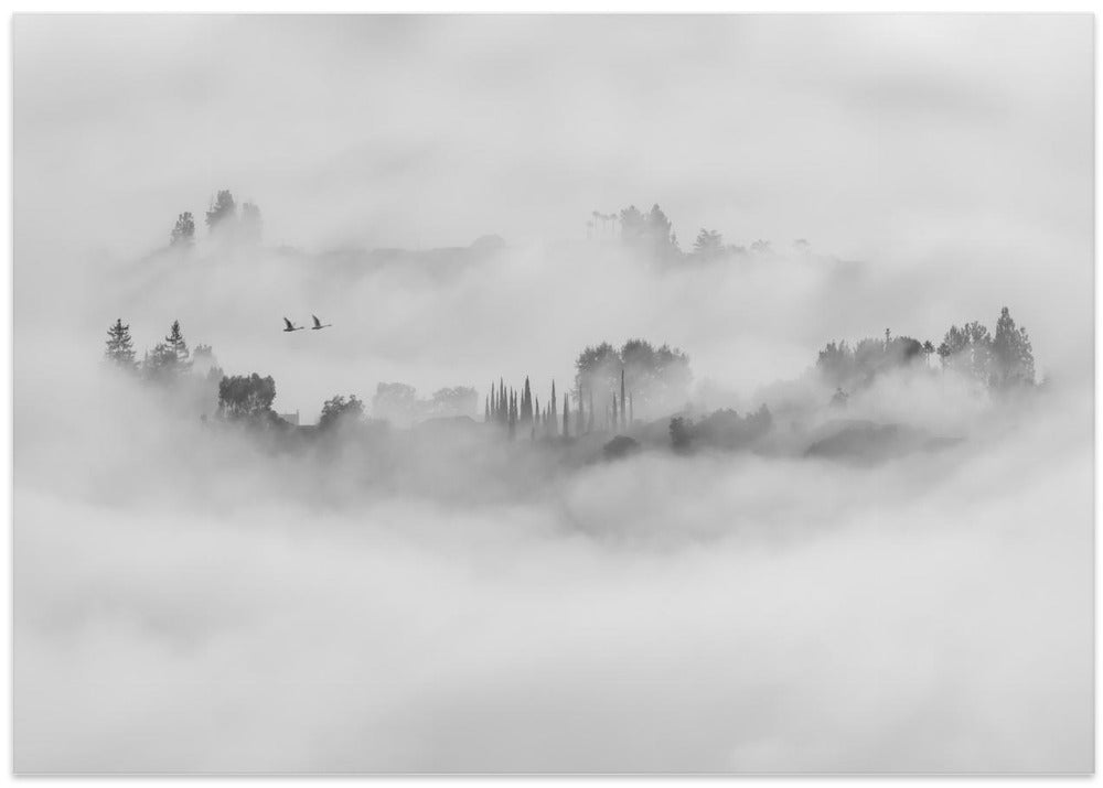 Foggy Morning in Los Angeles