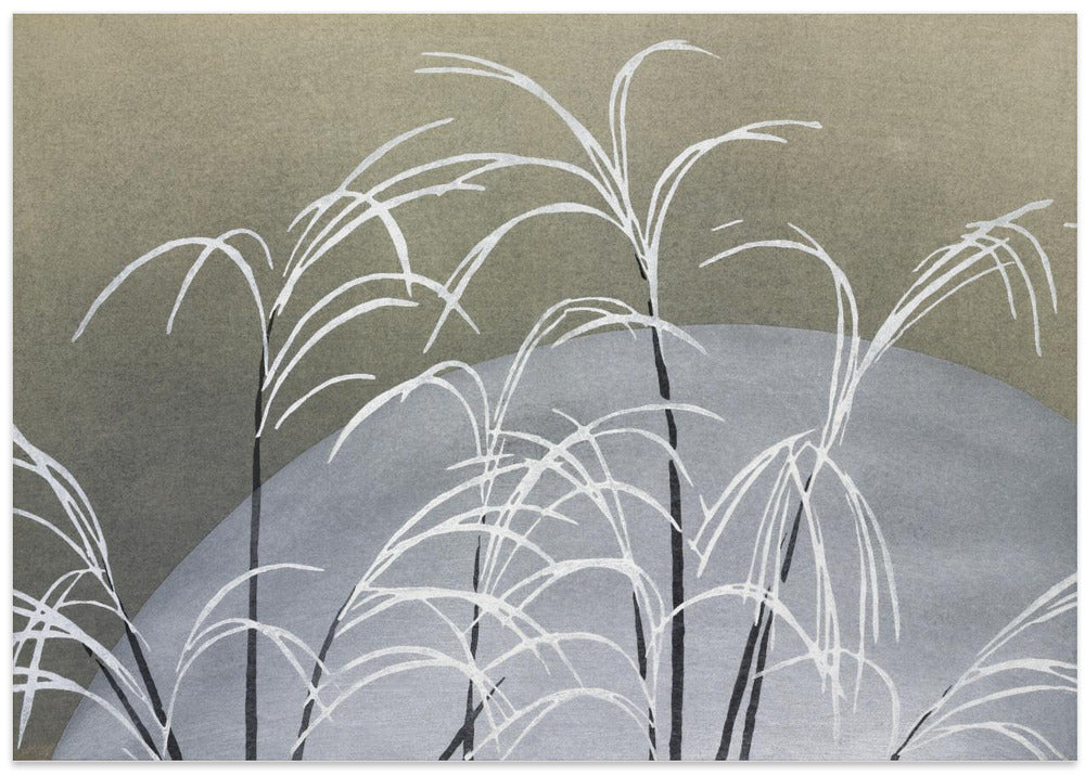 Frost From Momoyogusa