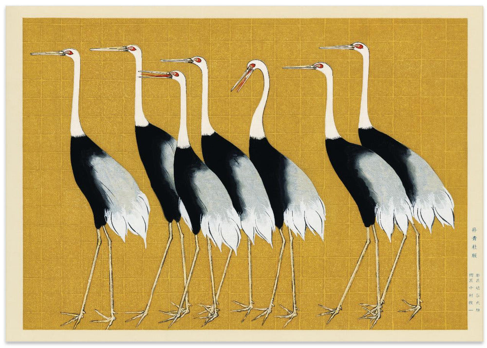 Japanese Red Crown Crane