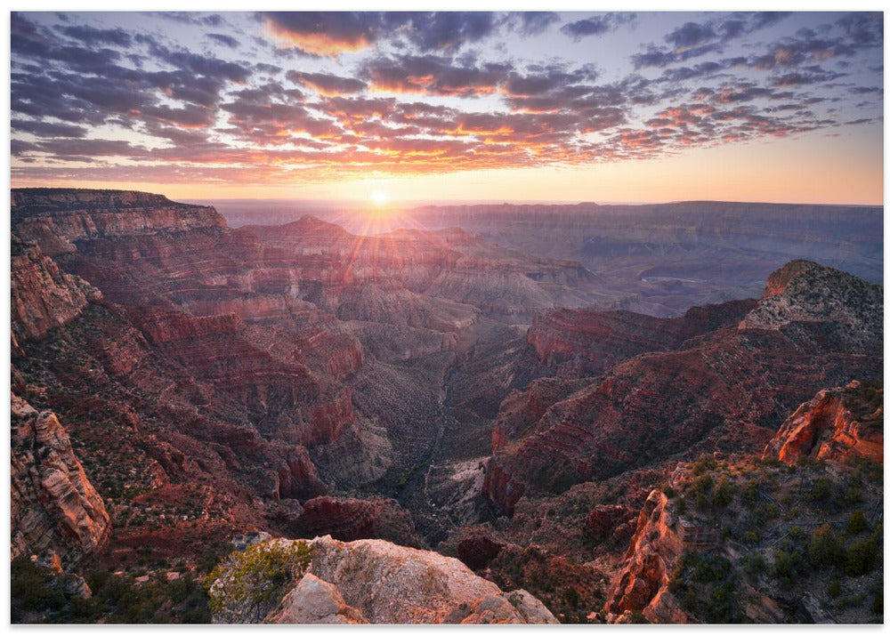 Grand Canyon View