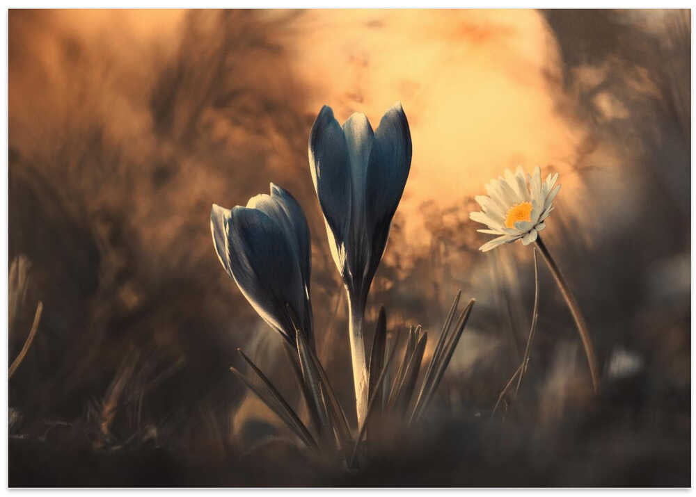 The magic beneath our feet