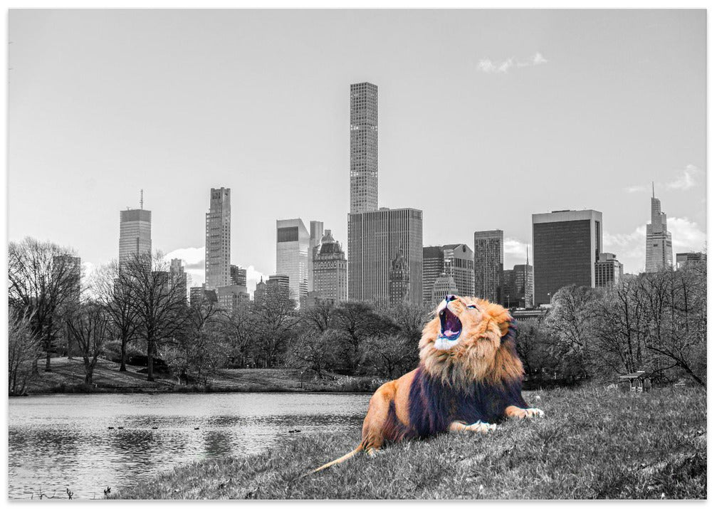 New York Roar
