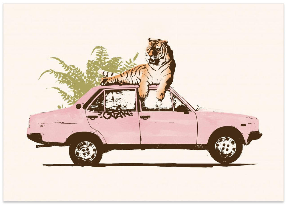 Tiger On Car