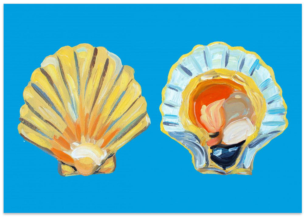 Scallops On Blue