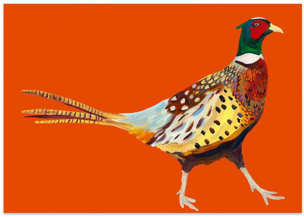 Strutting Pheasant On Orange