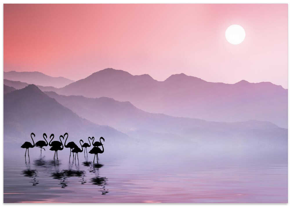 Flamingos Sunset