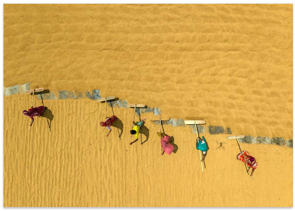 Rice drying under the hot sun
