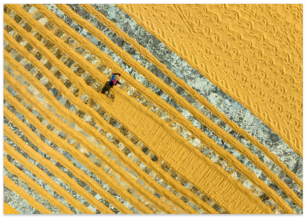 Pattern in the rice drying field