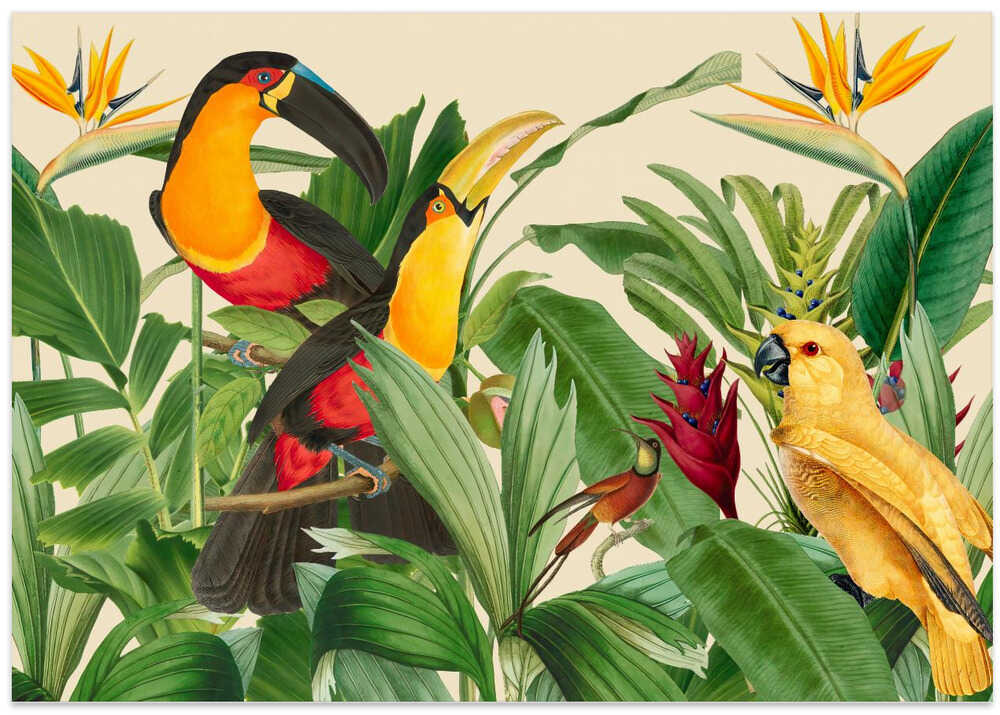 Rain Forest Bird Garden