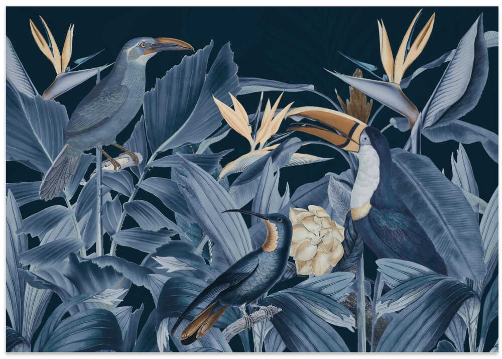 Rainforest Birds Blue