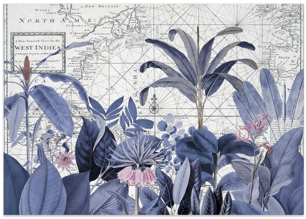 Exotic Wildlife 005 2