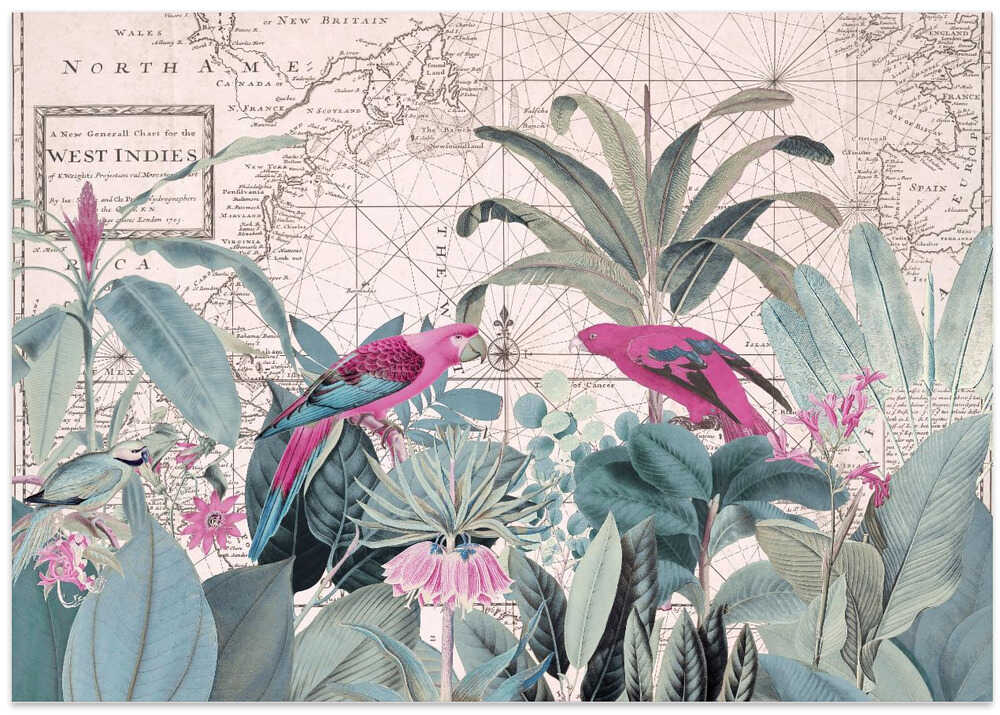 Exotic Wildlife 006 1