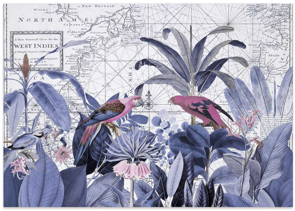 Exotic Wildlife 006 2